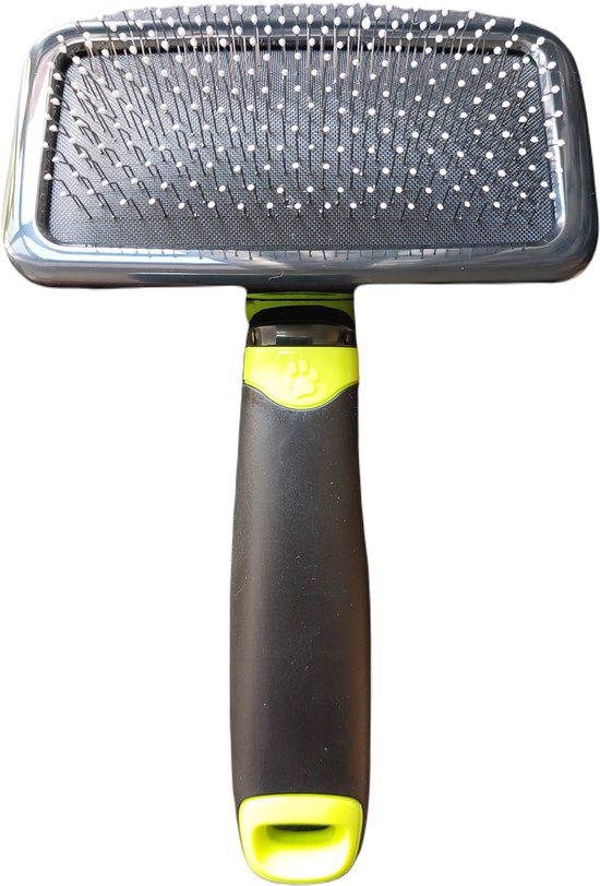 Ionbrush