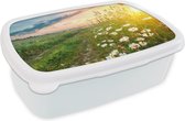 Broodtrommel Wit - Lunchbox - Brooddoos - Bloemen - Madelief - Natuur - 18x12x6 cm - Volwassenen
