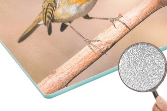 Planche à découper en Verres - 39x28 - Vogel - Branche - Rouge-gorge - Planches à découper en Glas