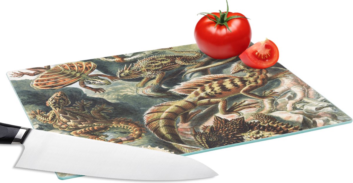 Glazen Snijplank - 28x20 - Vintage - Kunst - Ernst Haeckel - Salamanders - Dieren - Snijplanken Glas