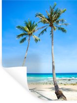 Stickers muraux - Palmier - Été - Tropical - 120x160 cm - Film Adhésif XXL