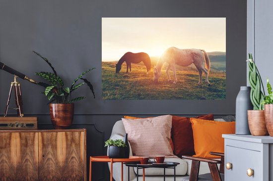Stickers Stickers muraux - Paarden - Soleil - Animaux - 120x80 cm - Film adhésif