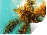 Stickers muraux - Palmier - Été - Tropical - 160x120 cm - Film Adhésif XXL