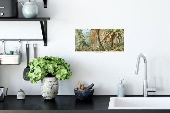 Stickers muraux Muraux - Filicinae - Vintage - Maîtres Anciens - Fougères - 40x20 cm - Film Adhésif