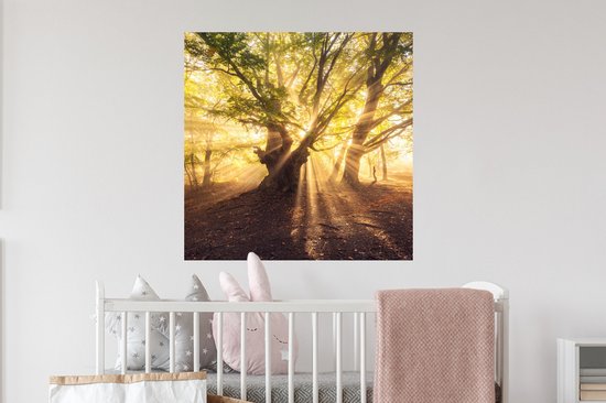 Stickers Stickers muraux - Arbre - Forêt - Soleil - 50x50 cm - Film adhésif