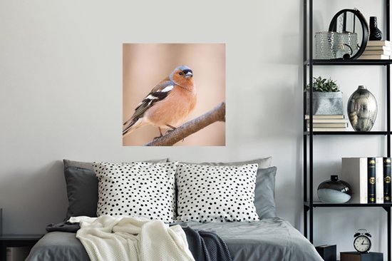 Stickers muraux - Film autocollant - Vogel - Animaux - Pinson - 50x50 cm - Film adhésif - Stickers muraux Chambre d'enfant - Papier peint autocollant - Papier peint autocollant - Film autocollant