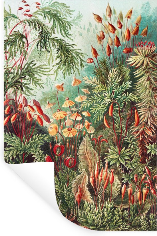 Muurstickers - Sticker Folie - Bloemen - Kunst - Vintage - Natuur - Botanisch - 60x90 cm - Plakfolie - Muurstickers Kinderkamer - Zelfklevend Behang - Zelfklevend behangpapier - Stickerfolie