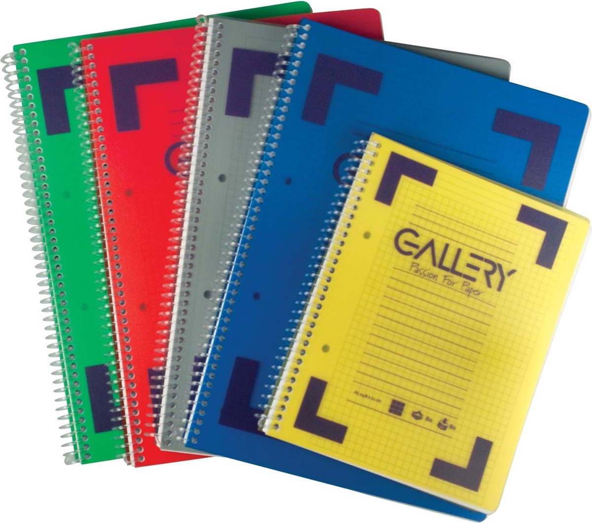 Gallery Traditional spiraalschrift ft A5, geruit 5 mm, geassorteerde kleuren, 160 bladzijden 6 stuks
