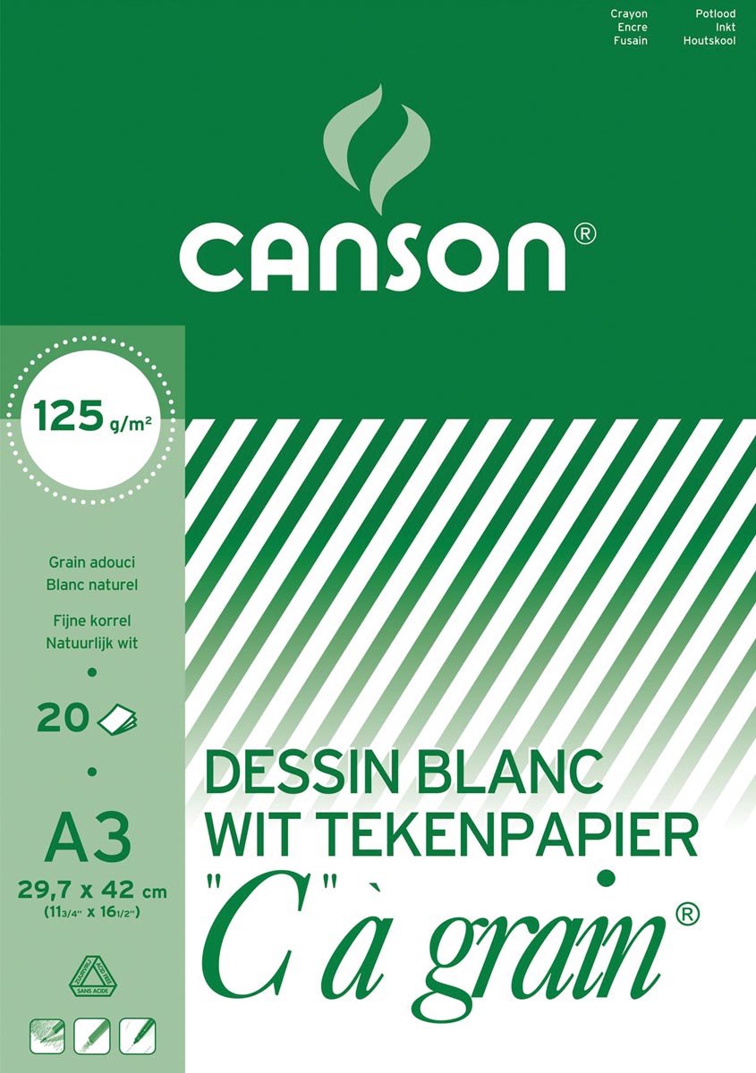 CANSON Papier à dessin C à grain, format A4, 125 g/m2