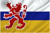Provincie Limburg vlag 100 x 150 cm - Provincie vlaggen