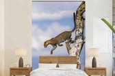 Behang - Fotobehang Luipaard - Boom - Springen - Breedte 160 cm x hoogte 240 cm