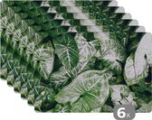 Placemats - Onderlegger - Plant - Bladeren - Groen - Natuur - Onderleggers - Onderlegger placemats -45x30 cm - 6 stuks