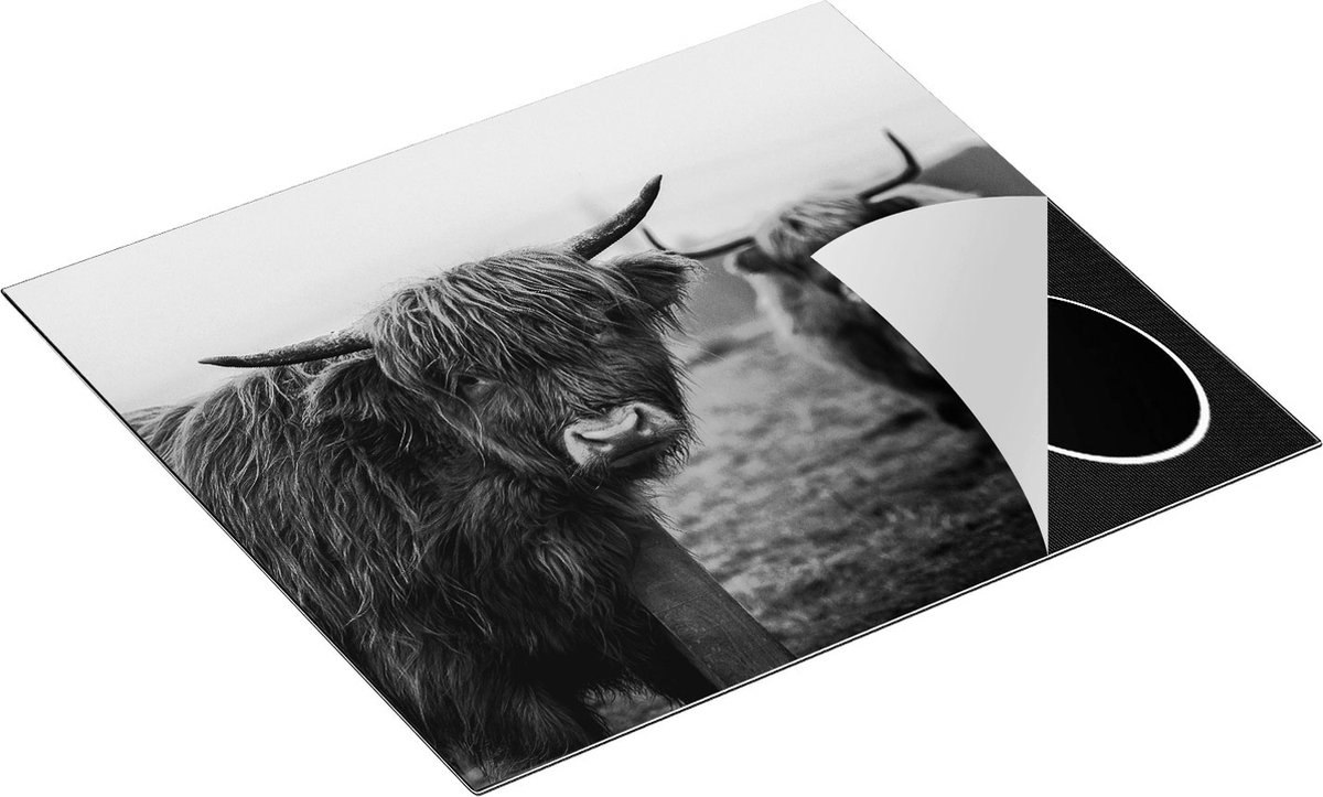 Chefcare Inductie Beschermer Twee Schotse Hooglanders in de Weide - Zwart Wit - 57,6x51,6 cm - Afdekplaat Inductie - Kookplaat Beschermer - Inductie Mat