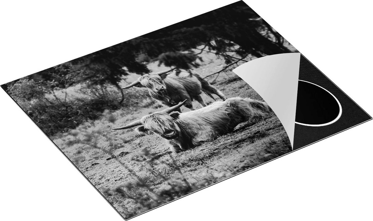 Chefcare Inductie Beschermer Twee Schotse Hooglanders in de Bossen - Zwart Wit - 65x55 cm - Afdekplaat Inductie - Kookplaat Beschermer - Inductie Mat