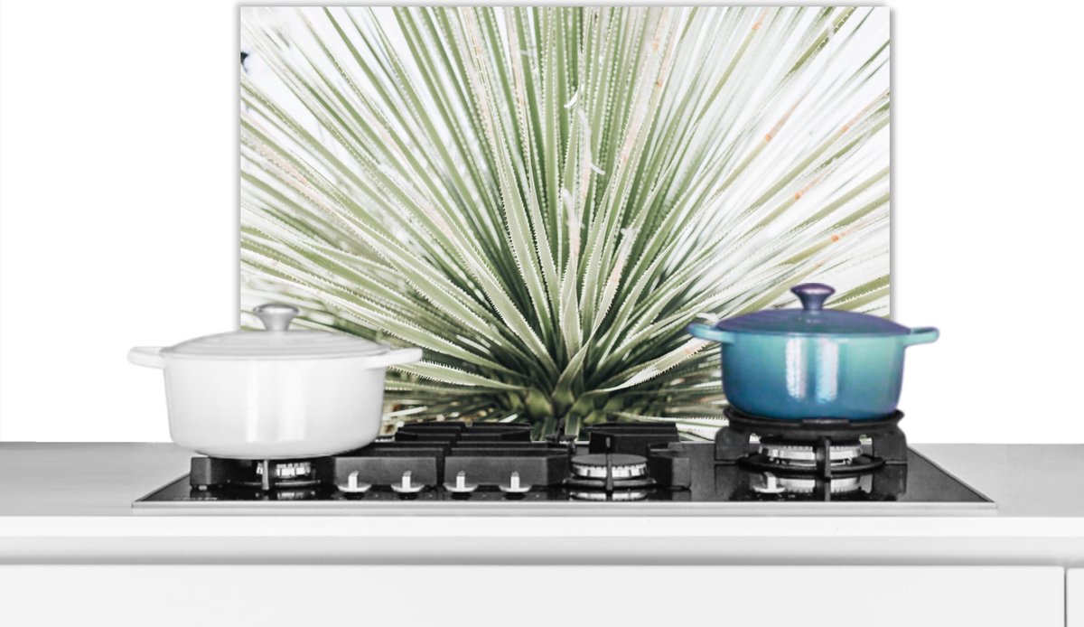 Spatscherm - Natuur - Groen - Plant - Keuken decoratie - 70x50 cm - Muurbeschermer