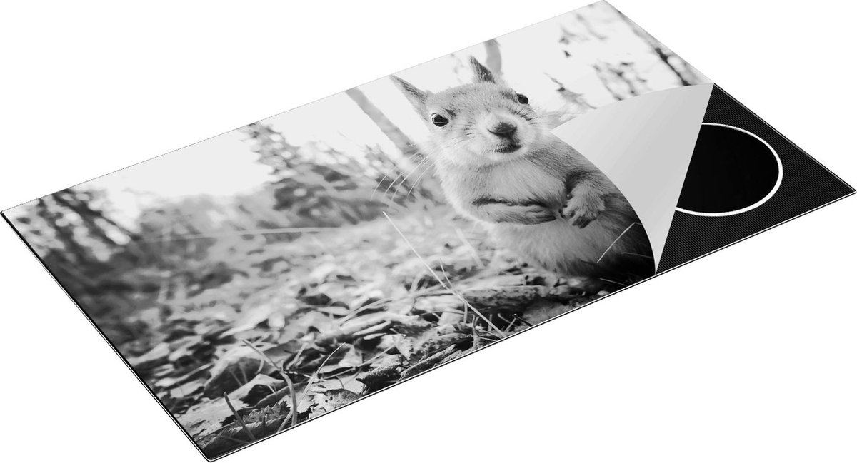 Chefcare Inductie Beschermer Eekhoorn in het Bos tijdens de Herfst - Zwart Wit - 95x50 cm - Afdekplaat Inductie - Kookplaat Beschermer - Inductie Mat