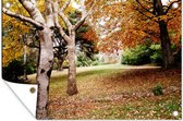 Tuinposter - Herfst - Bomen - Bladeren - Grasveld - Oranje - 60x40 cm - Tuindoek - Tuinschilderij