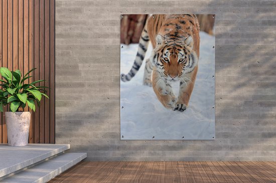 Tableau de jardin Tigre - Animaux - Tigre - Neige - Toile de jardin - Affiche de Décoration de jardin de jardin - 120x160 cm