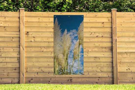 Affiche jardin - Pampa - Panaches d'herbe de pampa - Plante - Ciel - Blauw - 100x200 cm - Posters de jardin jardin - Jardin - Décoration murale - Décoration Décoration de jardin - Toile jardin - Affiche extérieure
