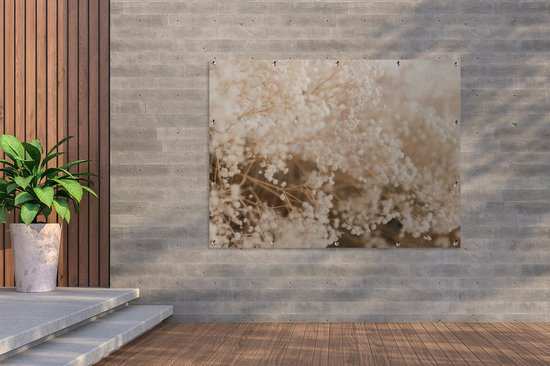 Affiche de jardin - Pampa - Herbe de la pampa plante de jardin - Plantes - Nature - Rose - 160x120 cm - Affiche de jardin fleurs - Jardin - Décoration murale - Décoration murale - Toile de jardin - Affiche extérieure