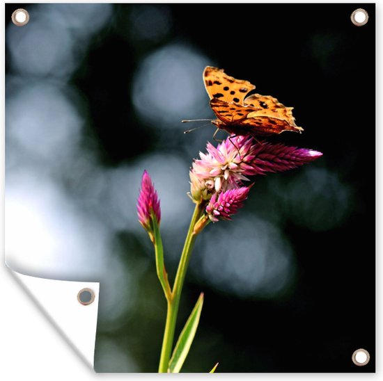 Tuinposter - Planten - Vlinder - Roze - Bloemen - Tuindoek - 200x200 cm - Tuinposters buiten