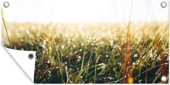 Tuinposter - Gras - Natuur - Water - Groen - Oranje - Bruin - 60x30 cm - Tuin decoratie - Tuin - Muurdecoratie - Wanddecoratie - Tuindoek - Buitenposter