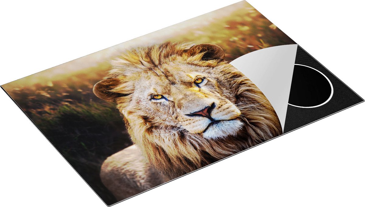 Chefcare Inductie Beschermer Leeuw in het Wild - Leeuwenkop - 75x52 cm - Afdekplaat Inductie - Kookplaat Beschermer - Inductie Mat