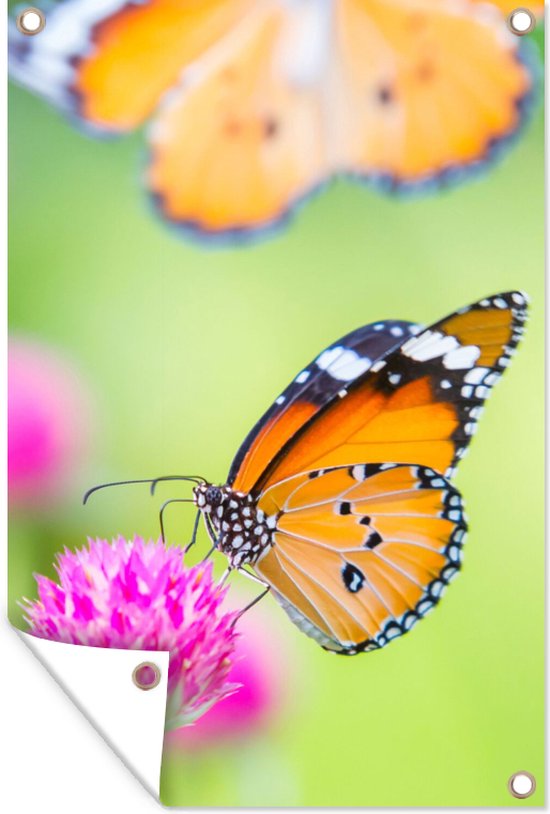 Tuinposter - Vlinders - Dieren - Bloemen - Planten - Tuinposter vlinder - 80x120 cm - Tuindoek