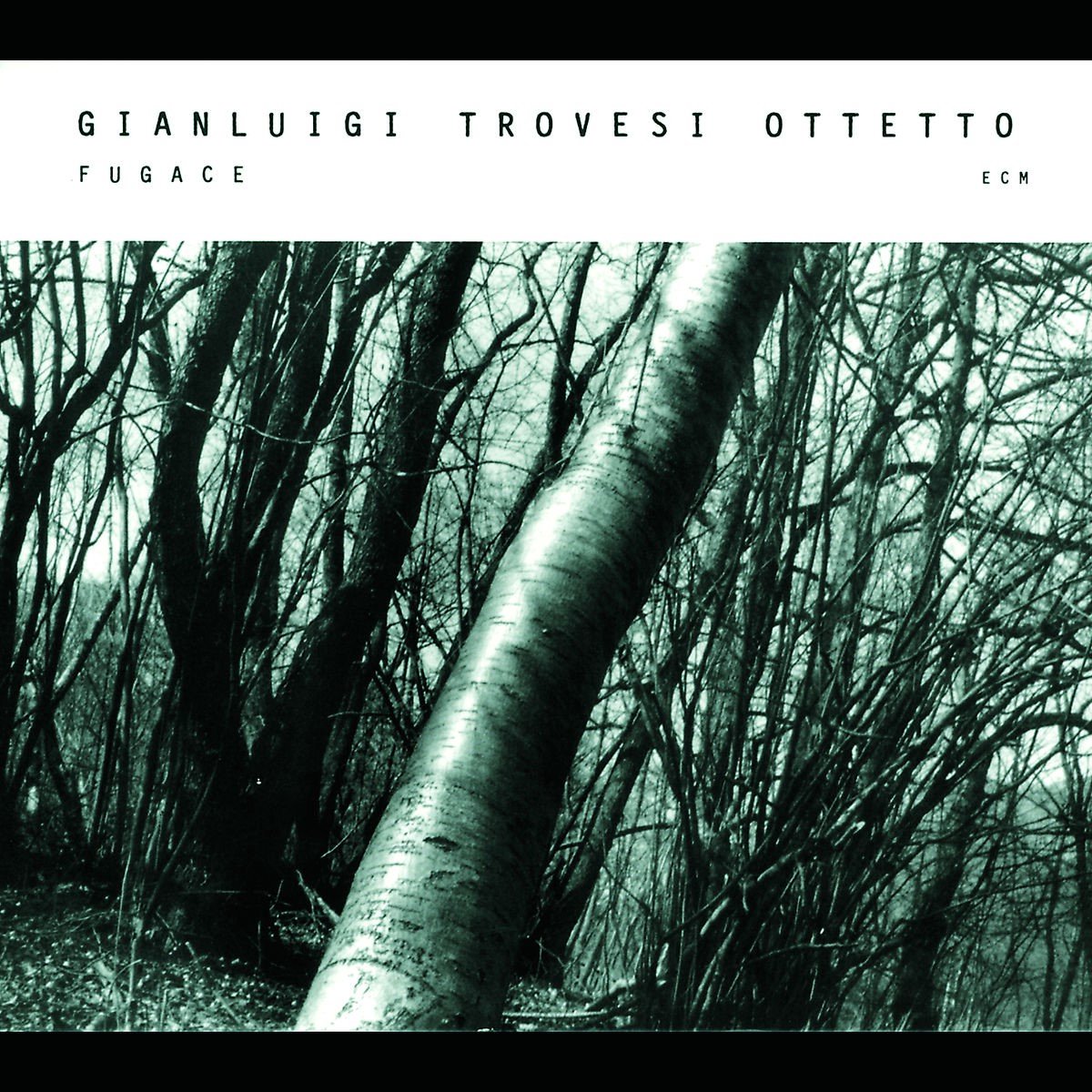 Gianluigi Trovesi Octet - Fugace (CD)