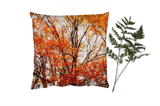 Coussins Coussins décoratifs - Oreillers Salon - 50x50 cm - Forêt - Automne - Saisons