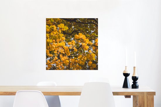Affiche Feuilles - Arbre - Nature - Saisons - 50x50 cm