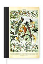 Notitieboek - Schrijfboek - Vogels - Natuur - Dieren - Notitieboekje klein - A5 formaat - Schrijfblok