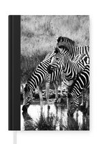 Notitieboek - Schrijfboek - Drinkende zebra's - Notitieboekje klein - A5 formaat - Schrijfblok