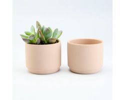 6 kleine BLUSH keramieken bloempotjes - D7/H6 cm - Ideaal in eigen huis of om te geven als bedankje.