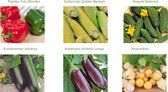 Cactula groente zaden set van 6 soorten | Ananaskers | Aubergine | Augurk | Komkommer Johanna | Suikermais | Paprika Yolo Woner