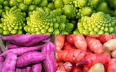 Exotische groente zaden set van 6 Koriander, Purple Choy Sum Tsa Tai Kousenband, Japanse Salade, Okra, Pak Choi