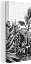 Canvas Schilderij Planten - Natuur - Design - Illustratie - Ernst Haeckel - 20x40 cm - Wanddecoratie