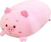 Varken Knuffel - Biggetje - 30 cm - Roze - Baby knuffel - Kussen