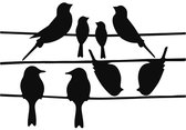 Vogelbescherming - Raamstickers - zwarte stickers vogels op draad - vogelstickers raam buiten