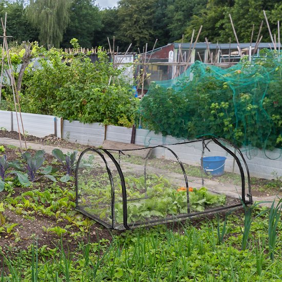 Zaaikalender voor de moestuin: kruiden en groente | vtwonen - vtwonen BE