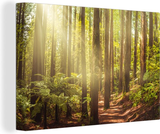 Canvas schilderij 140x90 cm - Wanddecoratie Bomen staan dicht op elkaar in een bos in Californië - Muurdecoratie woonkamer - Slaapkamer decoratie - Kamer accessoires - Schilderijen