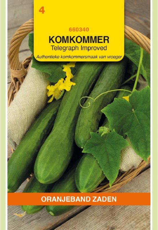 Oranjeband Zaden – Komkommer Telegraph Improved