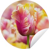 Tuincirkel Een close-up van roze tulp met een gele kop - 150x150 cm - Ronde Tuinposter - Buiten