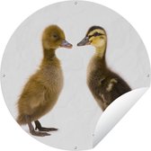 Tuincirkel Twee baby eenden - 120x120 cm - Ronde Tuinposter - Buiten XXL / Groot formaat!