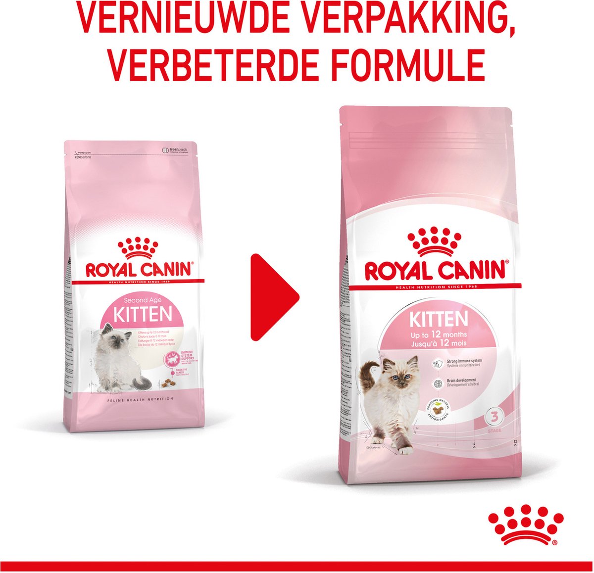 ui kooi taart Royal Canin Kitten - Kattenvoer - 10 kg | bol.com