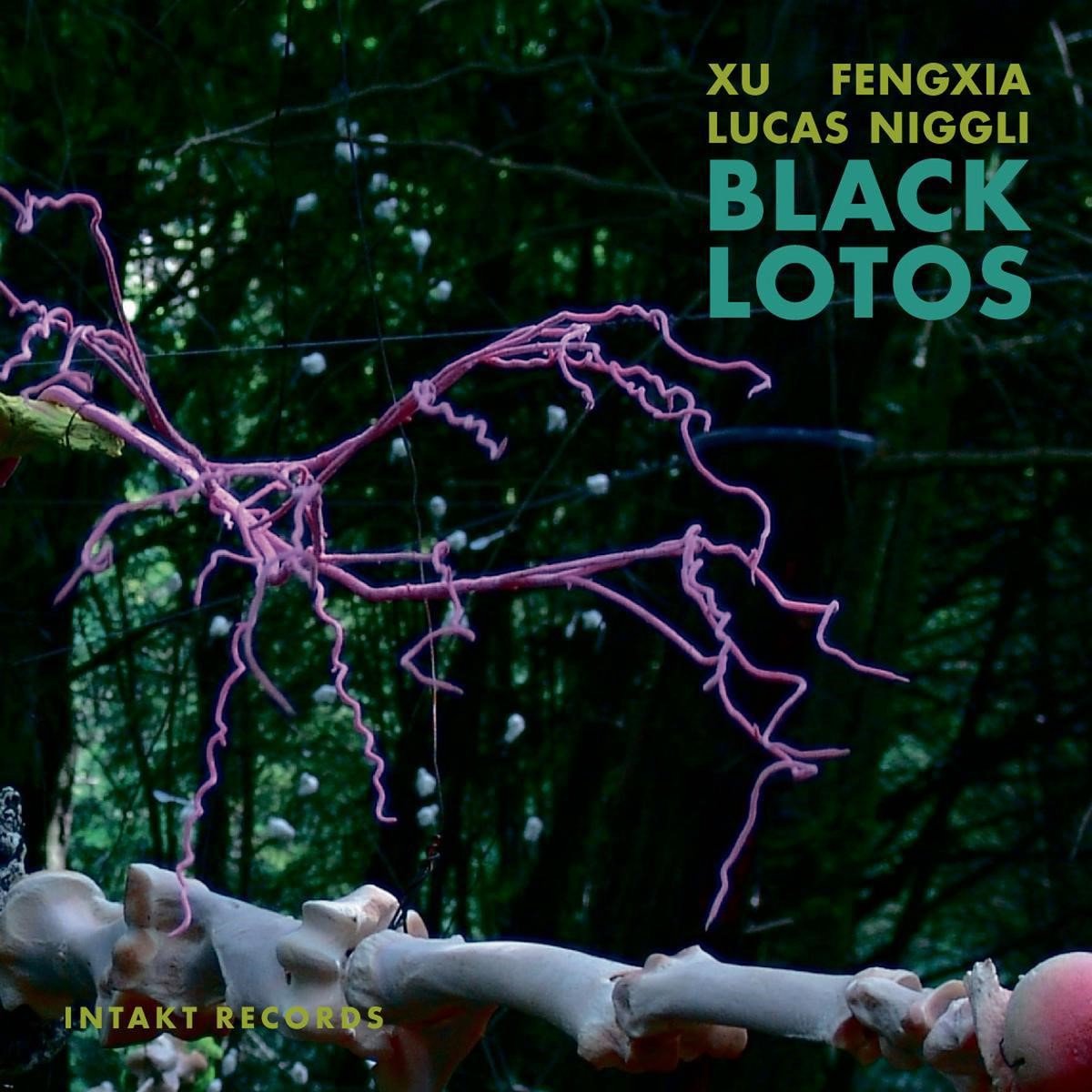 Xu Fengxia & Lucas Niggli - Black Lotos (CD)