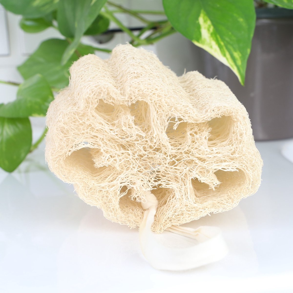 Loofah Douche Spons Zachte Egyptische Luffa Plantaardig Duurzaam