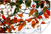 Affiche Automne - Feuilles - Rural - Saisons - 30x20 cm