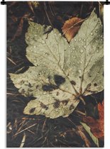 Tapisserie - Toile murale - Feuilles d'automne - Automne - Saisons - Nature - 60x90 cm - Tapisserie