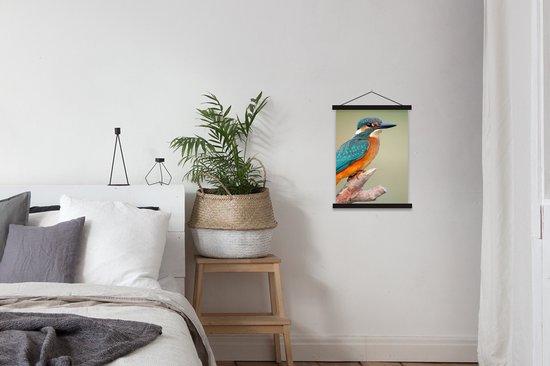 Porte-affiche avec affiche - Affiche scolaire - Vogel - Martin-pêcheur - Branche - 40x53 cm - Lattes noires